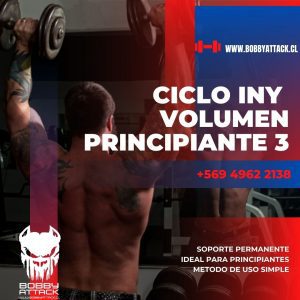 CICLO DE VOLUMEN PRINCIPIANTE 3